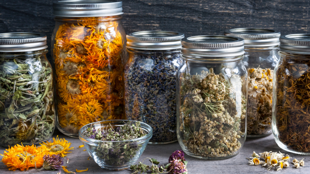 antimicrobial herbs used for gut health and microbiome balance