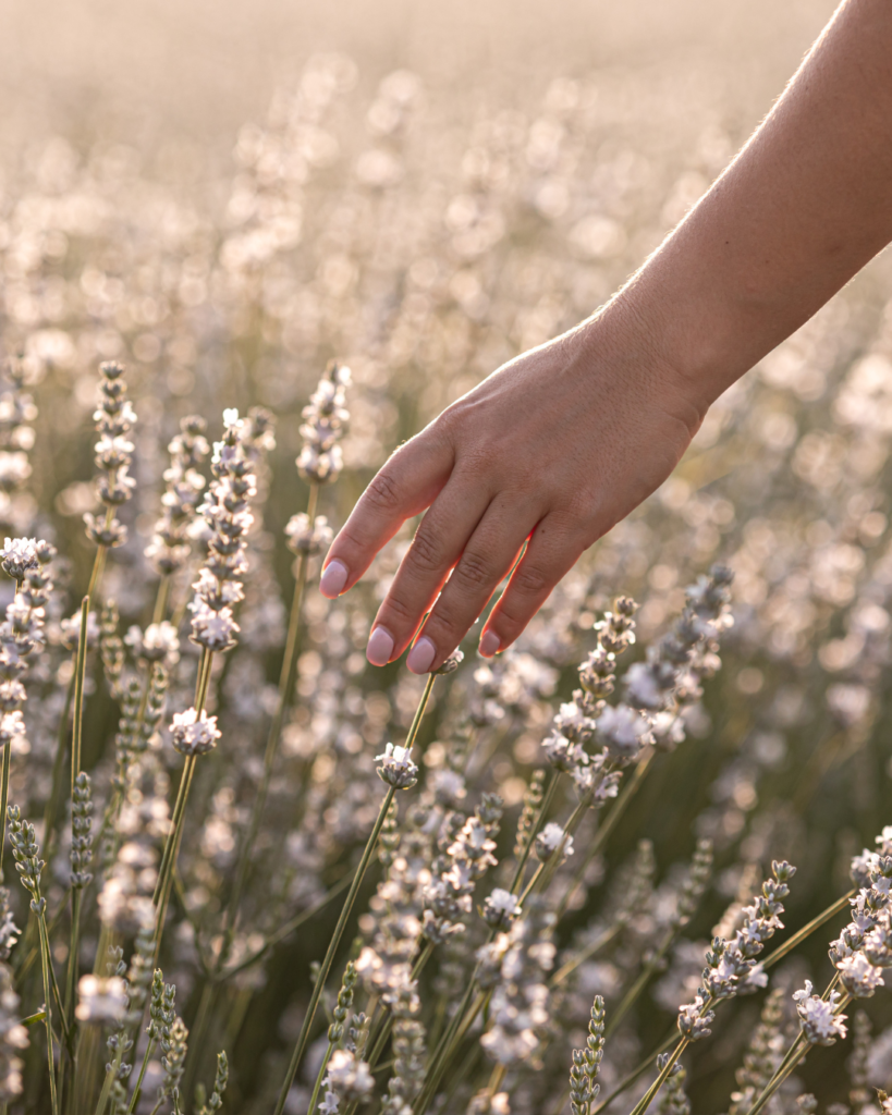 melanie.wingate.naturopath #4